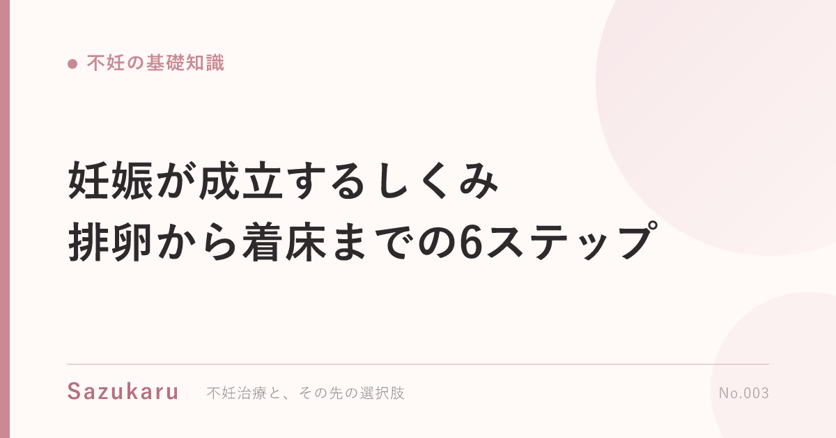 妊娠が成立するしくみ｜排卵から着床までの6ステップ